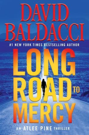 Long Road to Mercy Free PDF Download