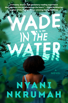 Wade in the Water Free PDF Download