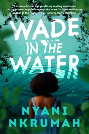 Wade in the Water Free PDF Download