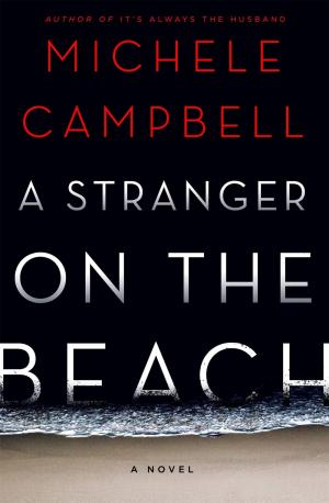 A Stranger on the Beach Free PDF Download