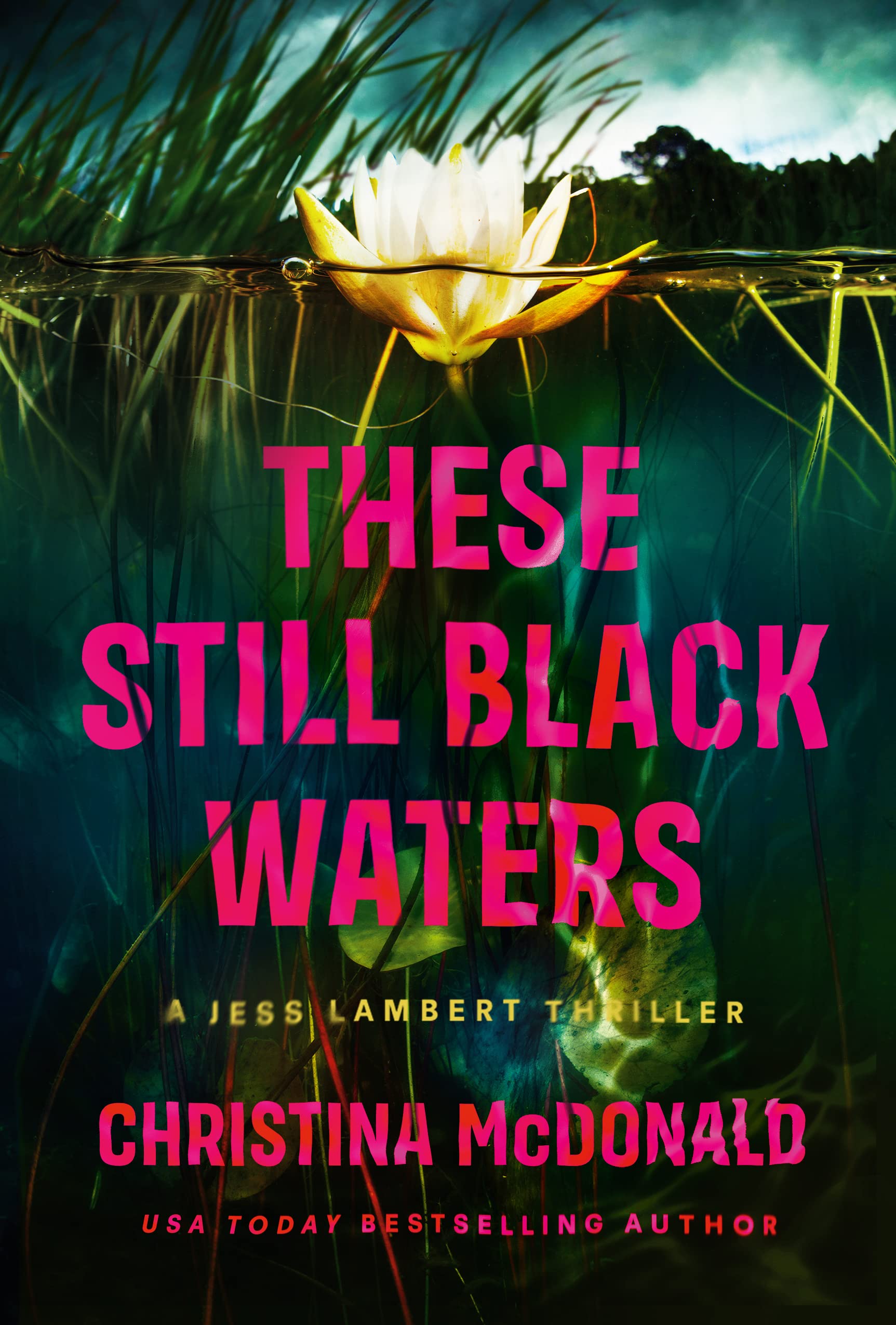 These Still Black Waters Free PDF Download