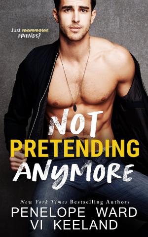 Not Pretending Anymore Free PDF Download