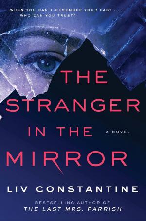 The Stranger in the Mirror Free PDF Download