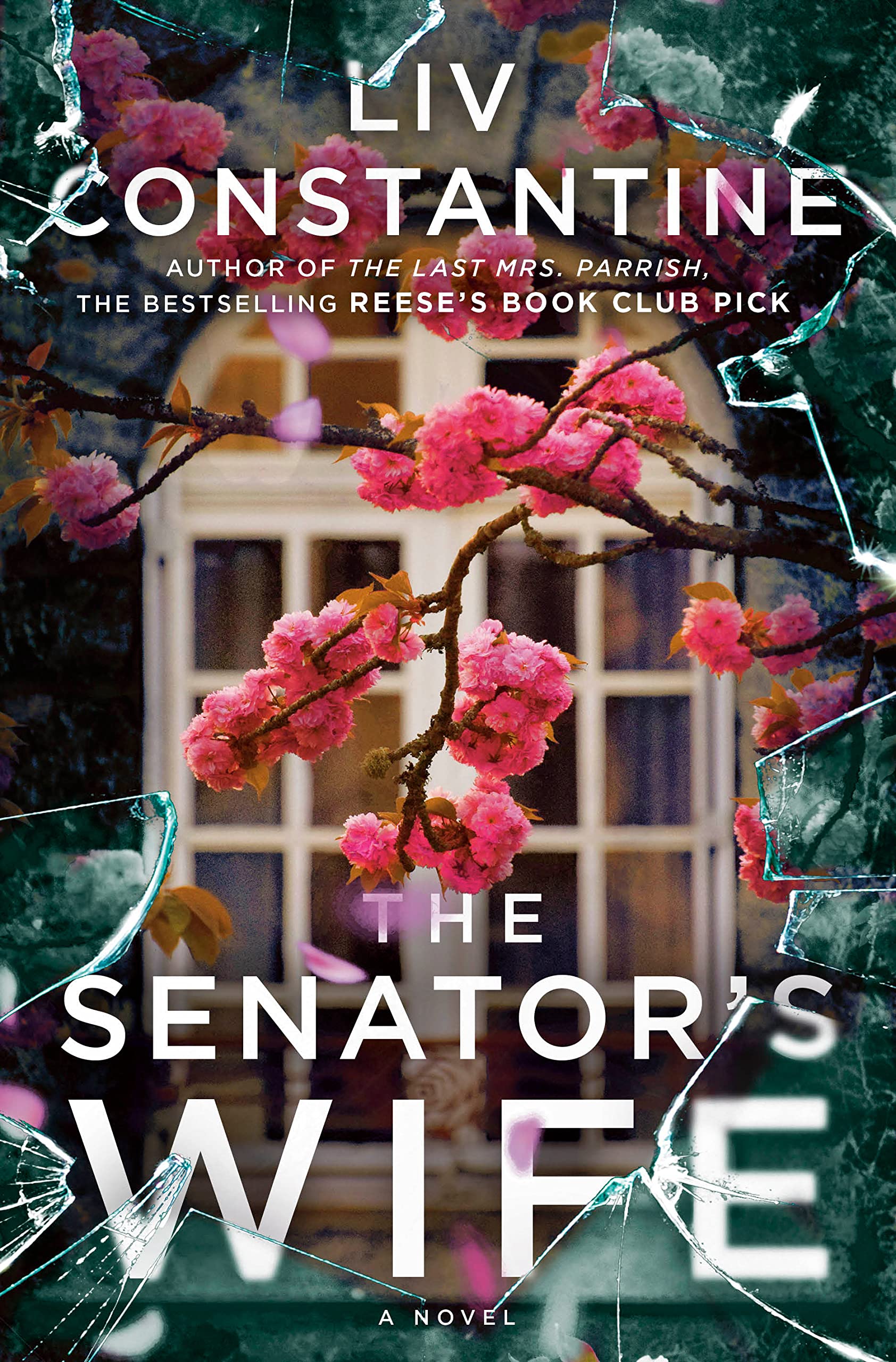 The Senator's Wife Free PDF Download