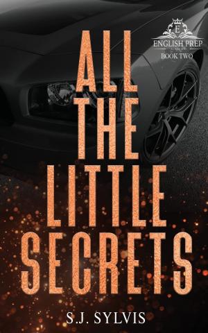 All the Little Secrets Free PDF Download