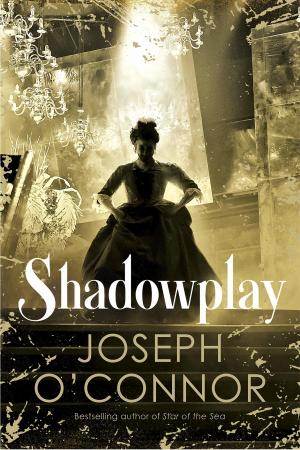 Shadowplay by Joseph O'Connor Free PDF Download