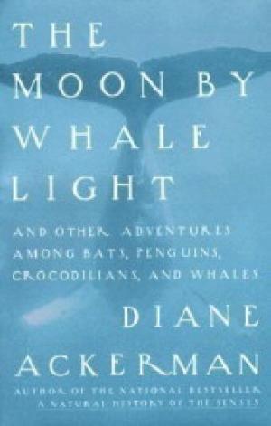 The Moon by Whale Light Free PDF Download
