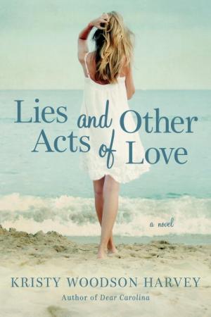 Lies and Other Acts of Love Free PDF Download