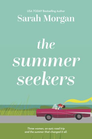 The Summer Seekers Free PDF Download
