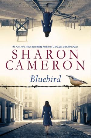 Bluebird by Sharon Cameron Free PDF Download