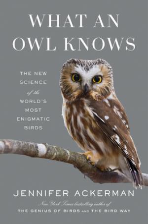 What an Owl Knows Free PDF Download