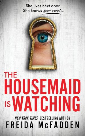 The Housemaid Is Watching #3 Free PDF Download