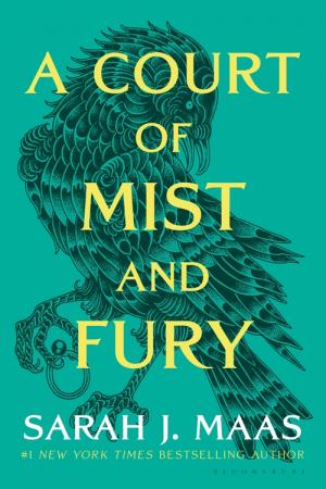 A Court of Mist and Fury #2 Free PDF Download