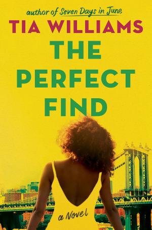 The Perfect Find Free PDF Download