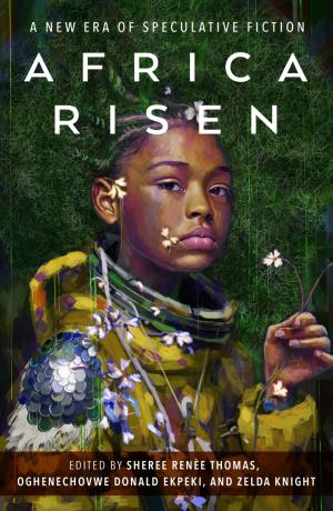 Africa Risen Free PDF Download