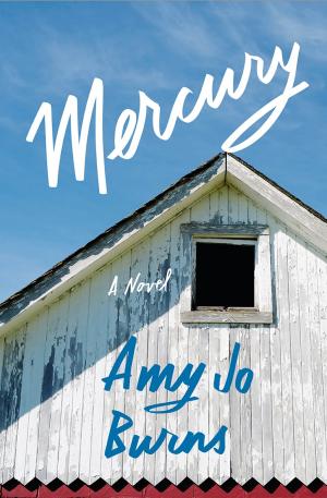 Mercury by Amy Jo Burns Free PDF Download