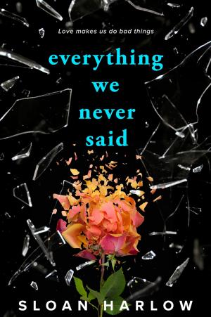 Everything We Never Said Free PDF Download
