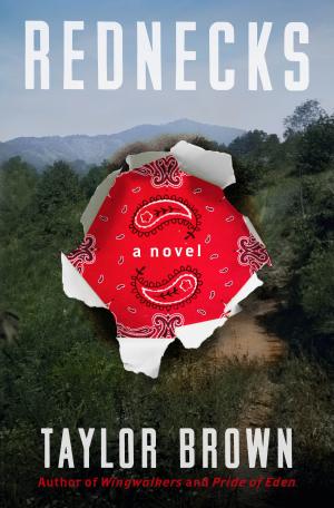 Rednecks by Taylor Brown Free PDF Download