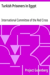 Turkish Prisoners in Egypt: A Report by the Delegates of the International Committee of the Red Cross — International Committee of the Red Cross cover