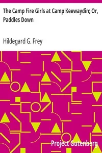 The Camp Fire Girls at Camp Keewaydin; Or, Paddles Down — Hildegard G. Frey cover