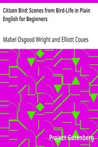Citizen Bird: Scenes from Bird-Life in Plain English for Beginners — Mabel Osgood Wright cover
