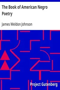 The Book of American Negro Poetry — Anonymous cover