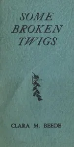Some Broken Twigs cover