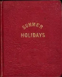 The summer holidays : $b a story for children — Amerel cover