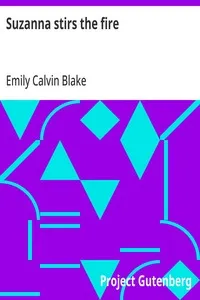 Suzanna stirs the fire — Emily Calvin Blake cover