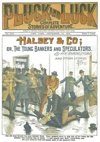 Halsey & Co.: or, The Young Bankers and Speculators — H. K. (Harvey King) Shackleford cover