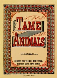 Tame Animals cover