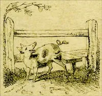 The Remarkable Adventures of an Old Woman and Her Pig: An Ancient Tale in a Modern Dress cover