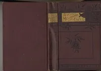 A Missionary Twig cover