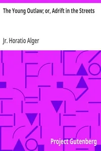 The Young Outlaw; or, Adrift in the Streets — Horatio, Jr. Alger cover