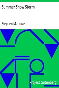 Summer Snow Storm cover