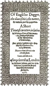 De Canibus Britannicis: Of Englishe Dogges cover