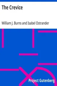 The Crevice — Isabel Ostrander cover