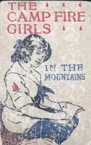 The Camp Fire Girls in the Mountains; Or, Bessie King's Strange Adventure — Jane L. Stewart cover