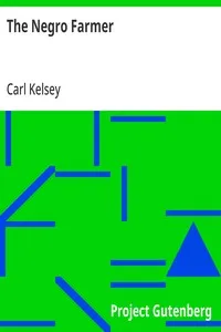 The Negro Farmer — Carl Kelsey cover