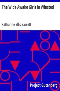 The Wide Awake Girls in Winsted — Katharine Ellis Barrett cover