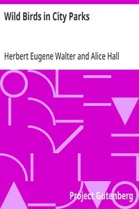 Wild Birds in City Parks: Being hints on identifying 145 birds, prepared primarily for the spring migration in Lincoln Park, Chicago — Herbert Eugene Walter cover