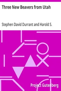 Three New Beavers from Utah — Stephen David Durrant cover
