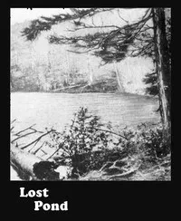 Lost Pond — Henry Abbott cover