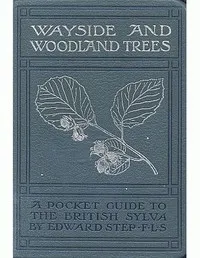 Wayside and woodland trees : $b a pocket guide to the British sylva cover