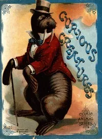 Curious Creatures — Anonymous cover