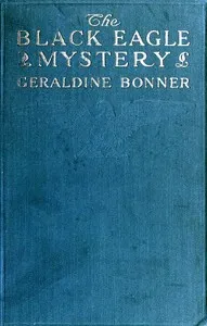 The Black Eagle Mystery cover