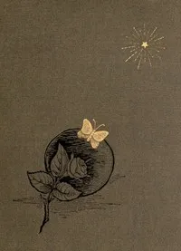 An Ambitious Woman: A Novel — Edgar Fawcett cover