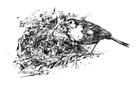 Robin's Rambles — May Byron cover