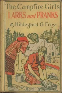 The Camp Fire Girls' Larks and Pranks; Or, The House of the Open Door — Hildegard G. Frey cover