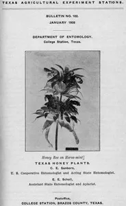 Texas Honey Plants — Charles Emerson Sanborn cover